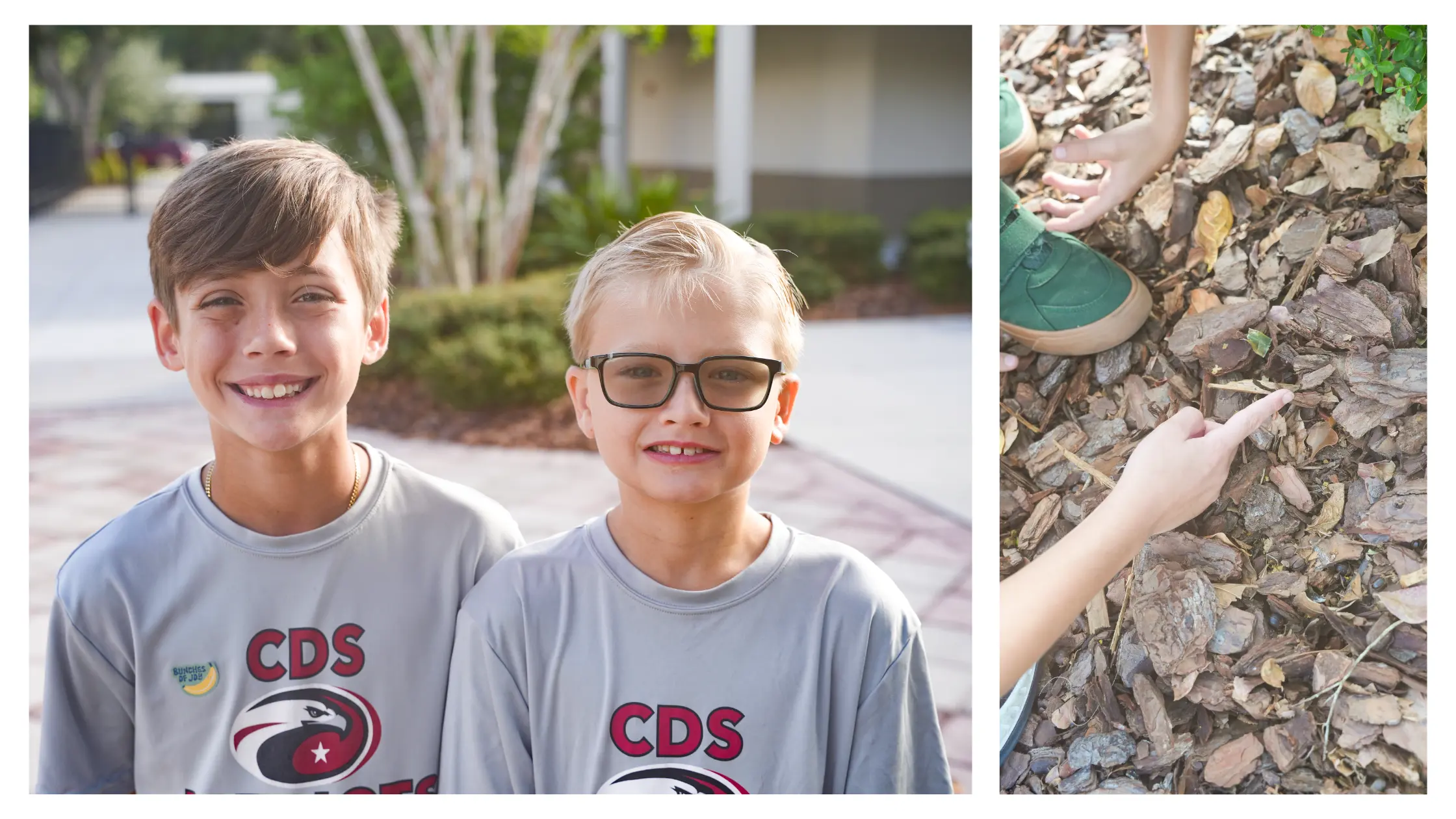 OptimizedImage,,,Optimized