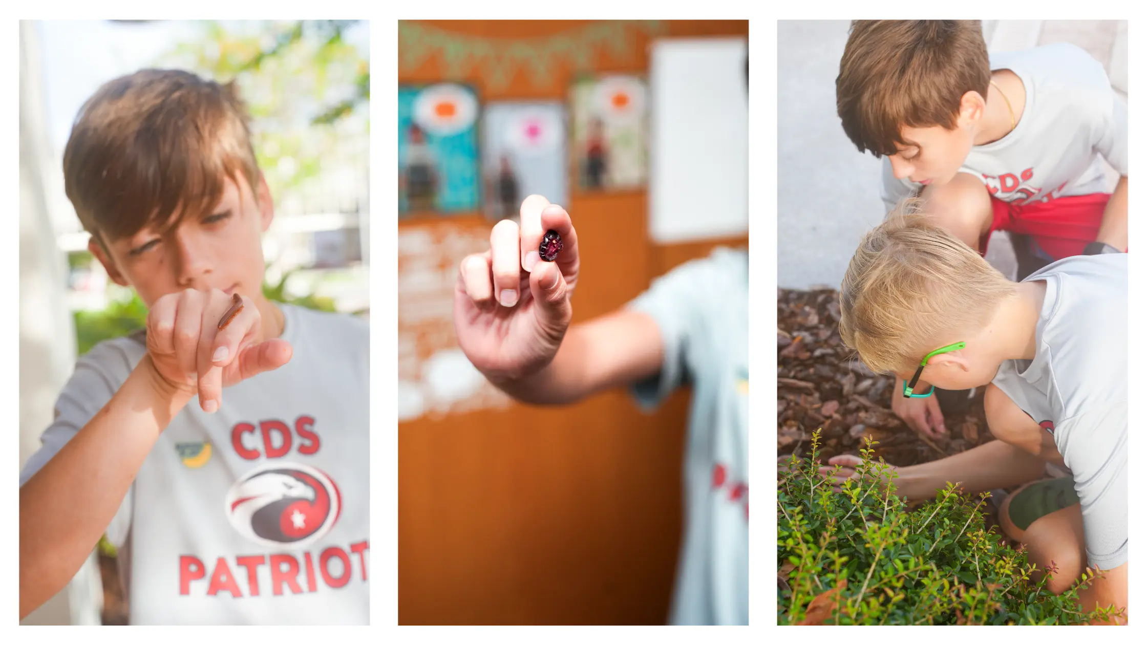 OptimizedImage,,,Optimized