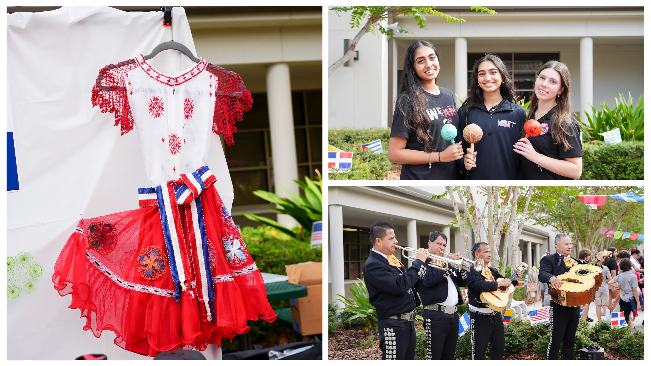  OptimizedImage,,Blog,Optimized