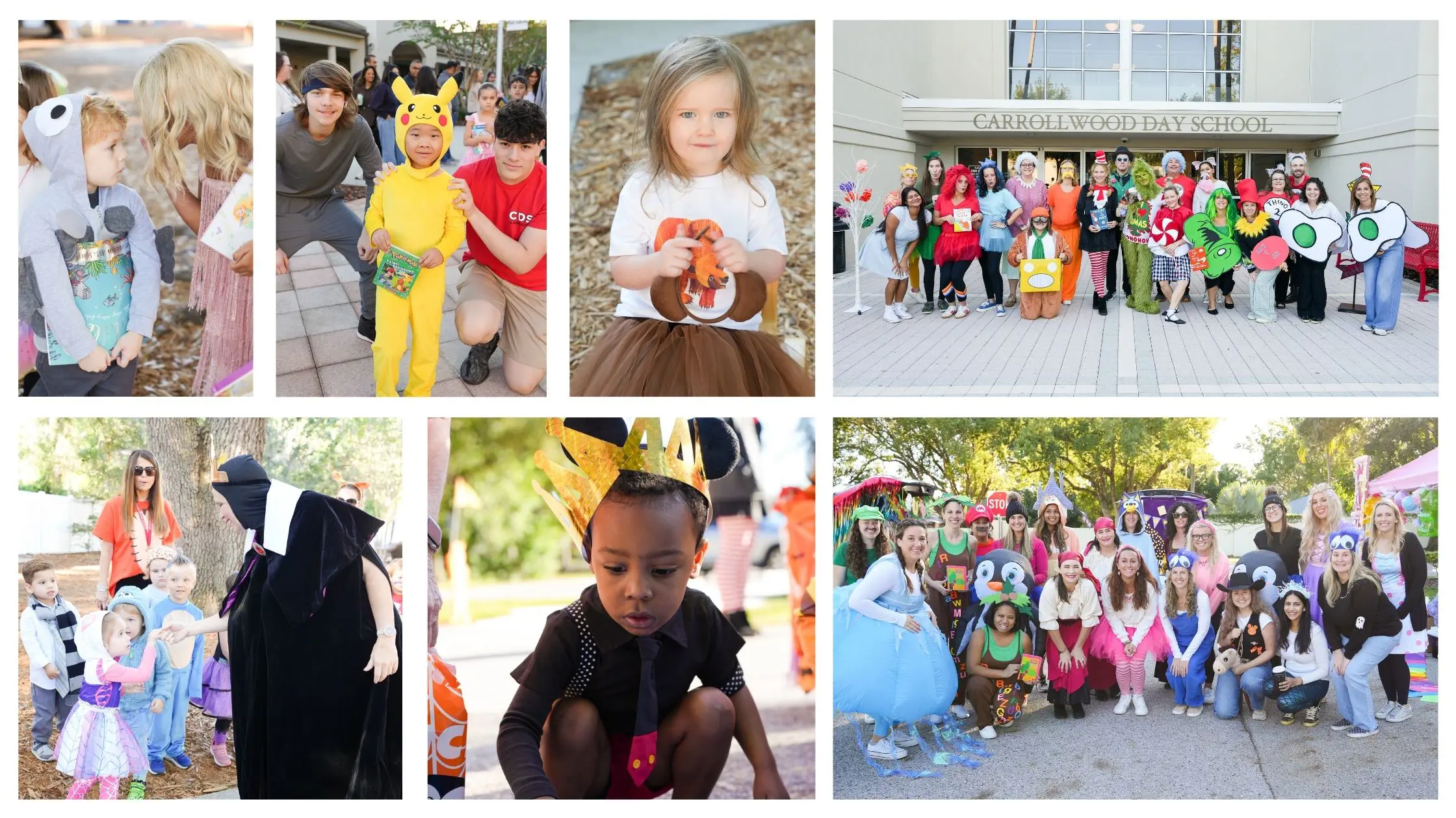 OptimizedImage,,Blog,Optimized