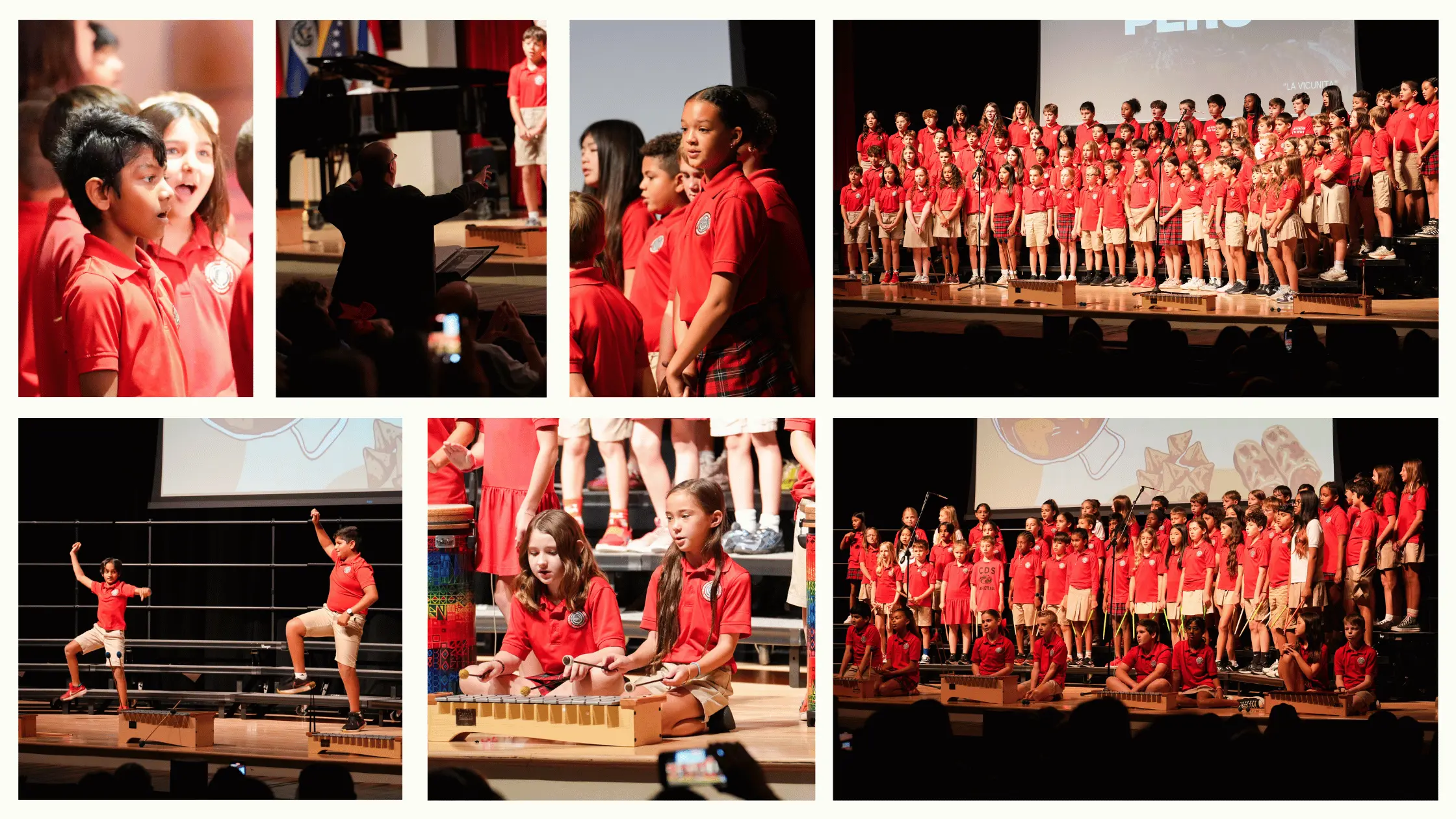  OptimizedImage,,Blog,Optimized