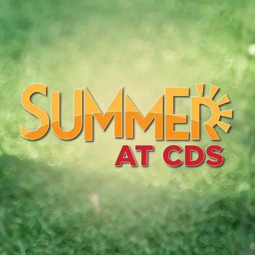  OptimizedImage,,,Optimized