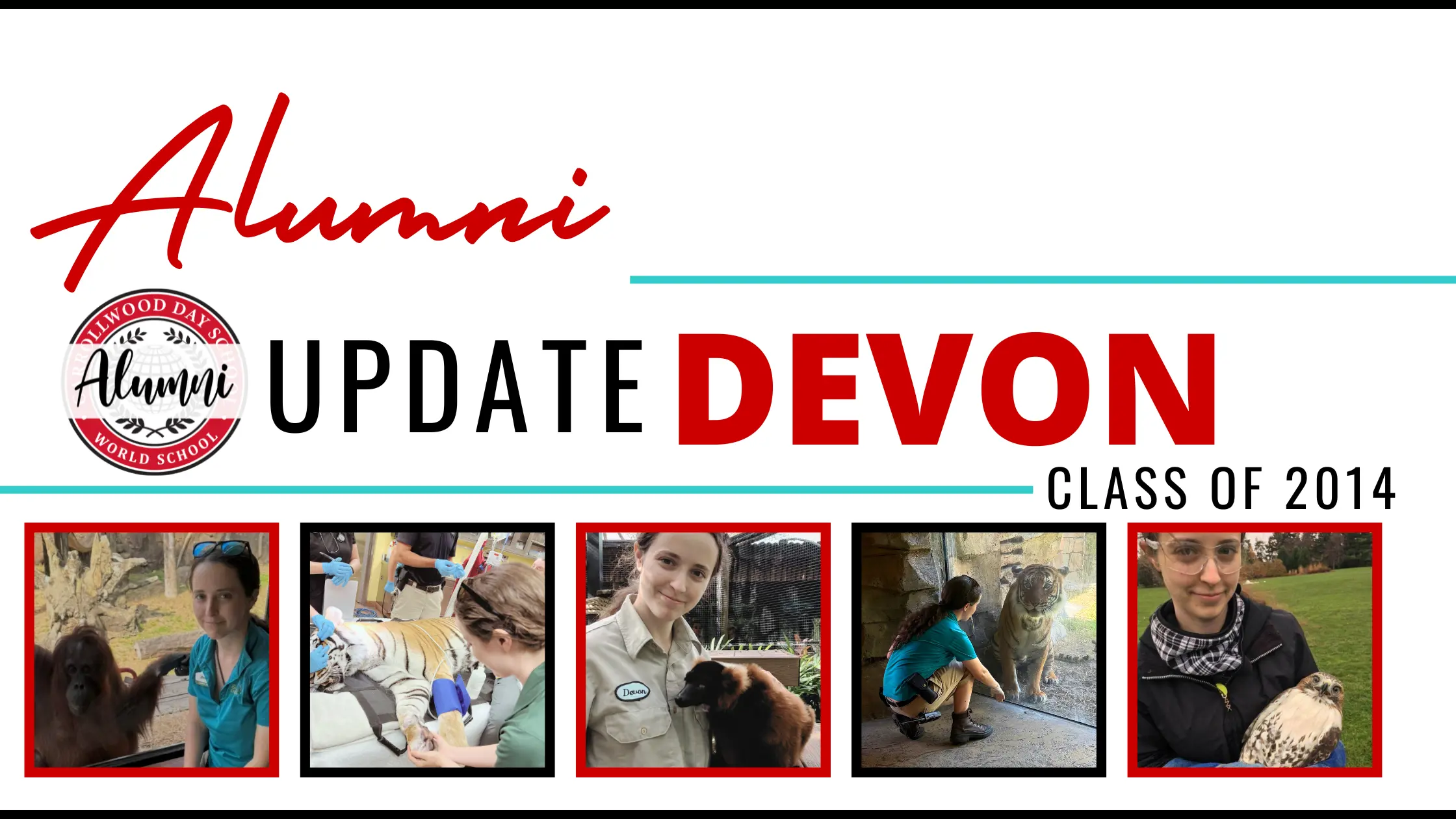 OptimizedImage,,,Optimized