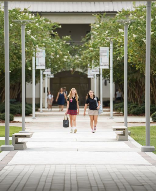 Elementary Courtyard, Bridge, and Quad