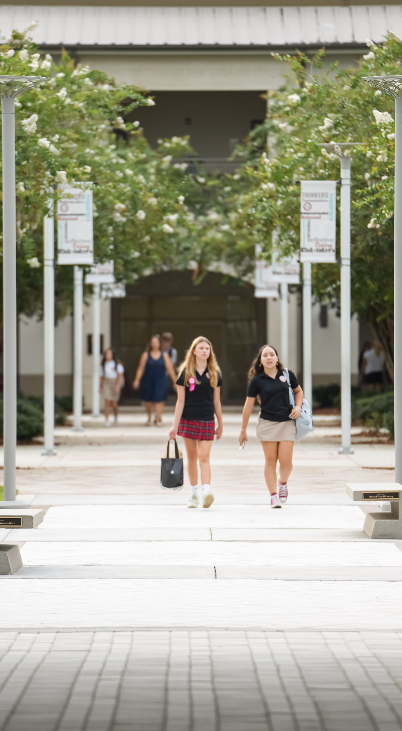 Elementary Courtyard, Bridge, and Quad