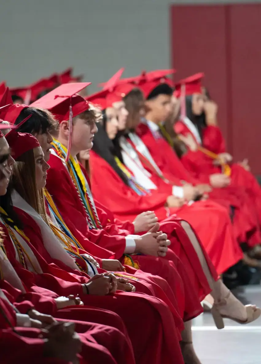 Graduates