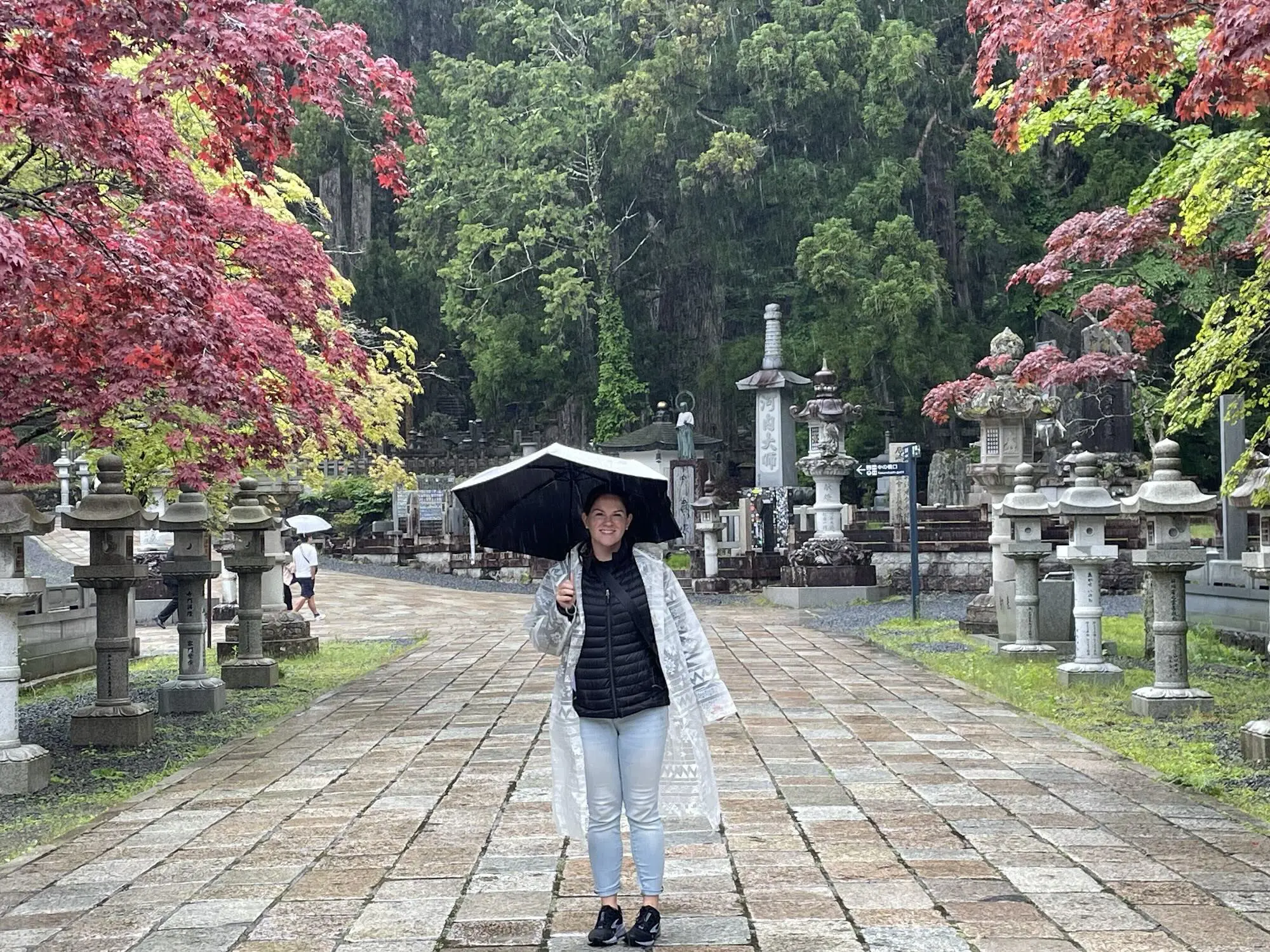 OptimizedImage,,,Optimized