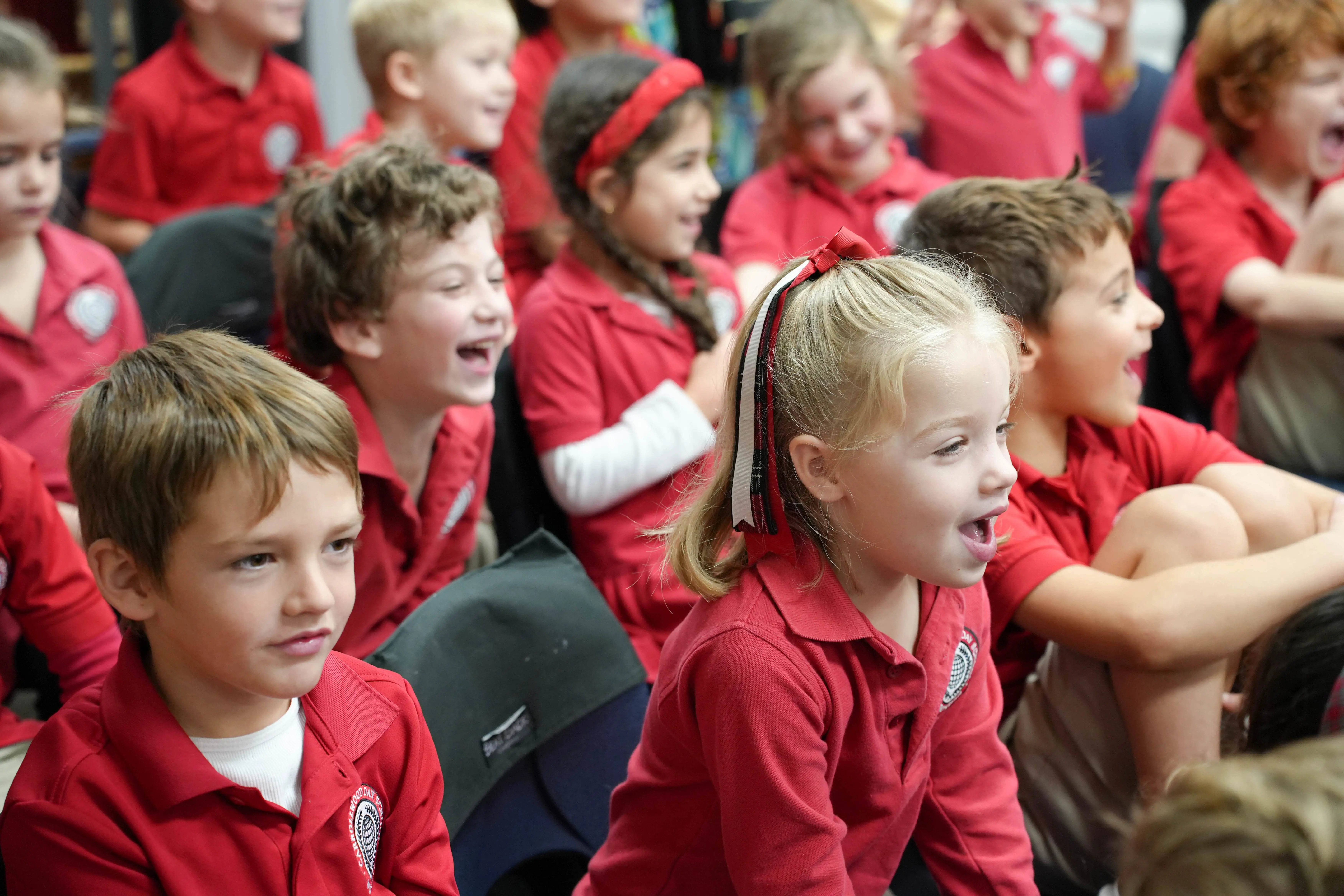 OptimizedImage,,,Optimized