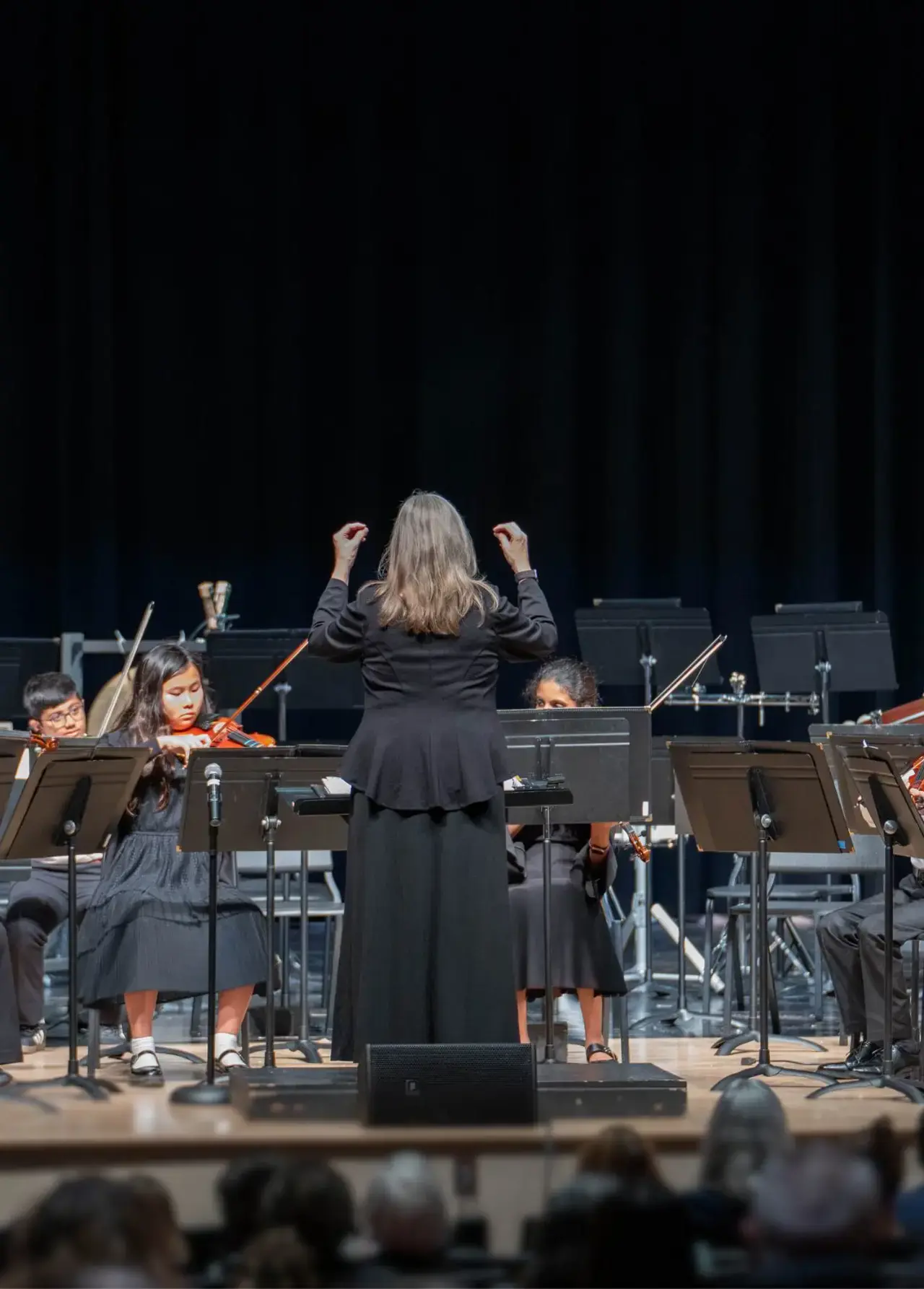 Music concert