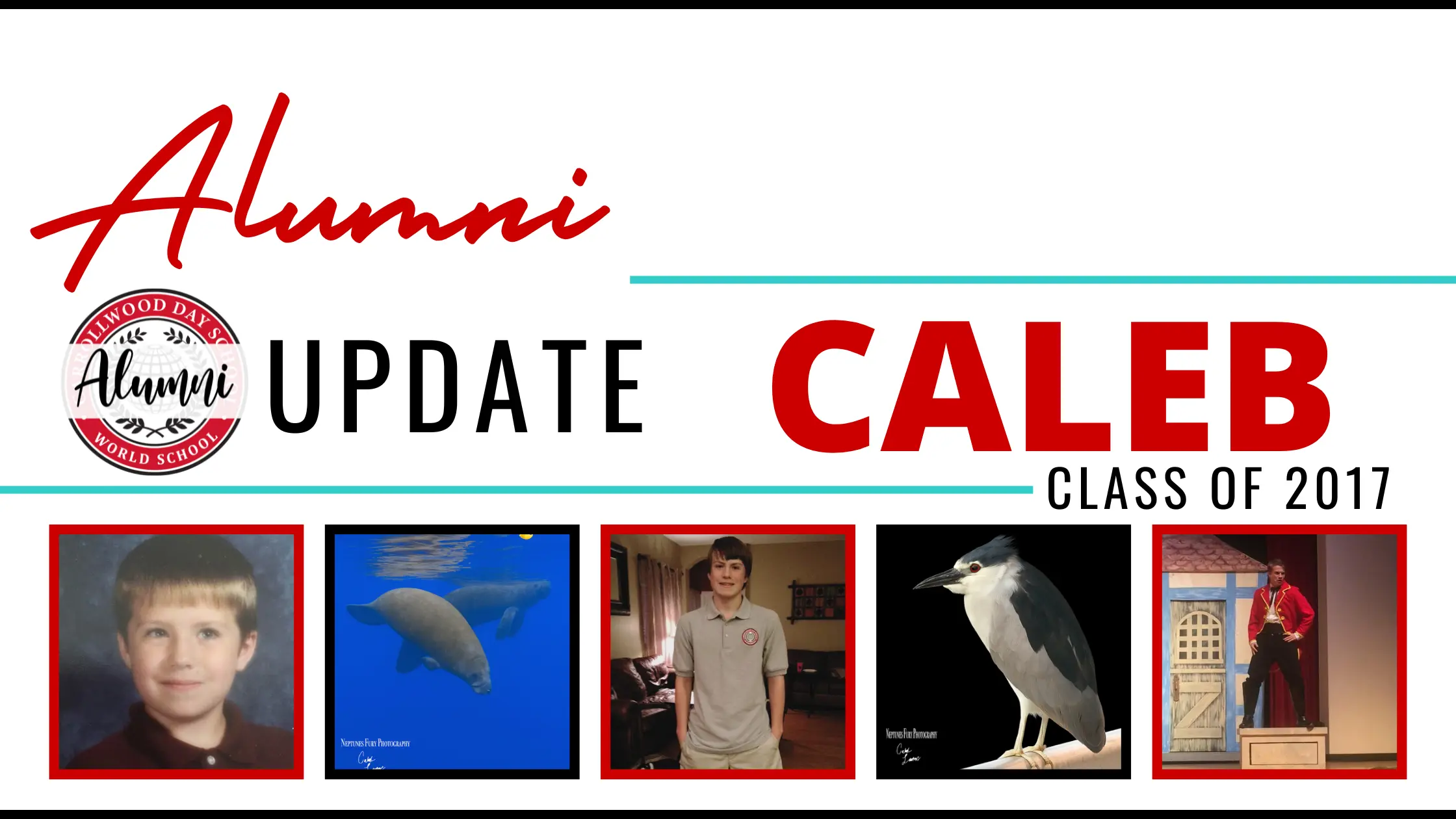  OptimizedImage,,Blog,Optimized